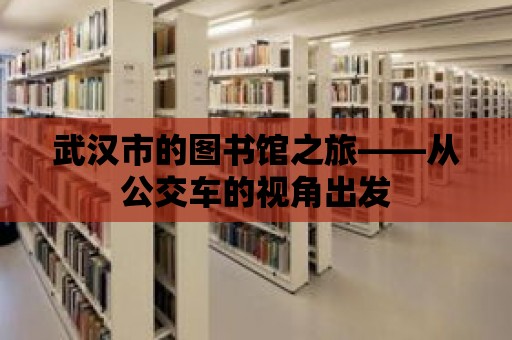 武漢市的圖書館之旅——從公交車的視角出發