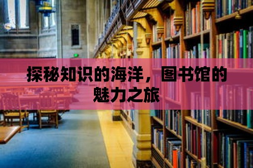 探秘知識的海洋，圖書館的魅力之旅