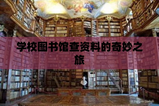 學校圖書館查資料的奇妙之旅