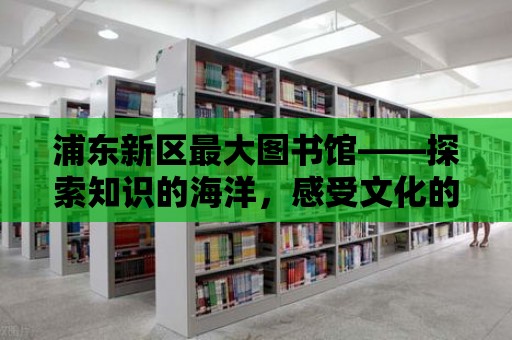 浦東新區最大圖書館——探索知識的海洋，感受文化的魅力