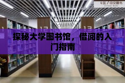 探秘大學圖書館，借閱的入門指南