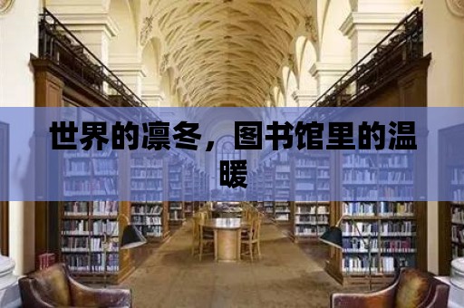 世界的凜冬，圖書館里的溫暖