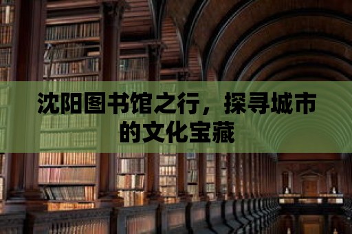 沈陽圖書館之行，探尋城市的文化寶藏