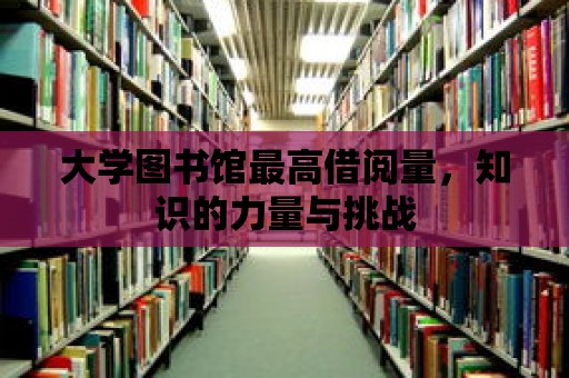 大學圖書館最高借閱量，知識的力量與挑戰