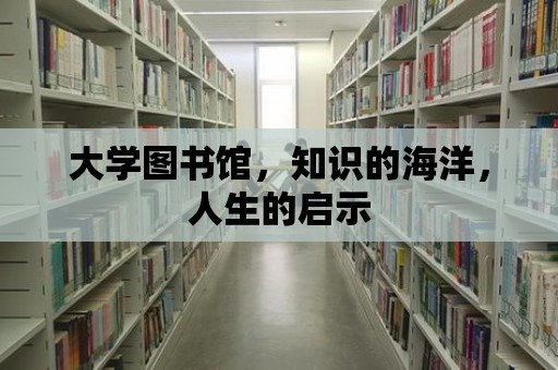 大學圖書館，知識的海洋，人生的啟示