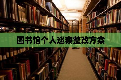 圖書館個人巡察整改方案