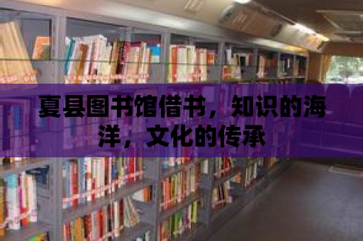 夏縣圖書館借書，知識的海洋，文化的傳承