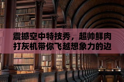 震撼空中特技秀，超帥鮮肉打灰機帶你飛越想象力的邊界