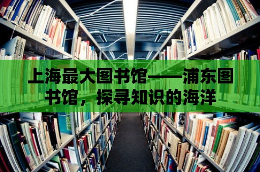 上海最大圖書館——浦東圖書館，探尋知識的海洋