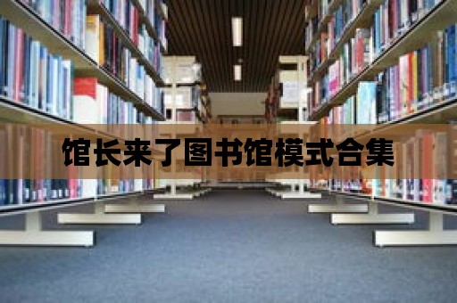 館長來了圖書館模式合集