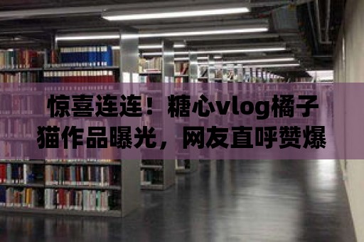 驚喜連連！糖心vlog橘子貓作品曝光，網友直呼贊爆！