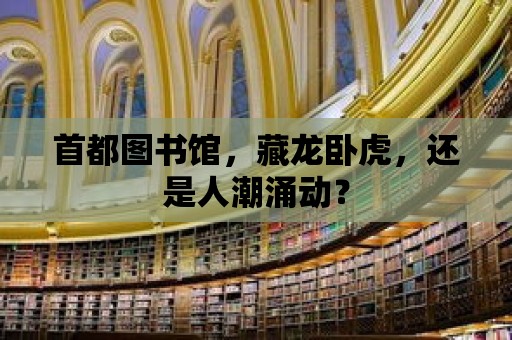 首都圖書館，藏龍臥虎，還是人潮涌動？