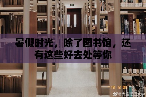 暑假時光，除了圖書館，還有這些好去處等你