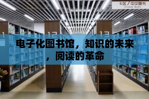 電子化圖書館，知識的未來，閱讀的革命