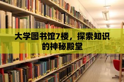 大學圖書館7樓，探索知識的神秘殿堂