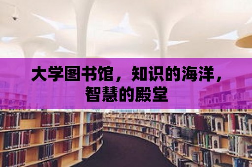 大學圖書館，知識的海洋，智慧的殿堂