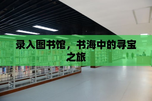 錄入圖書館，書海中的尋寶之旅