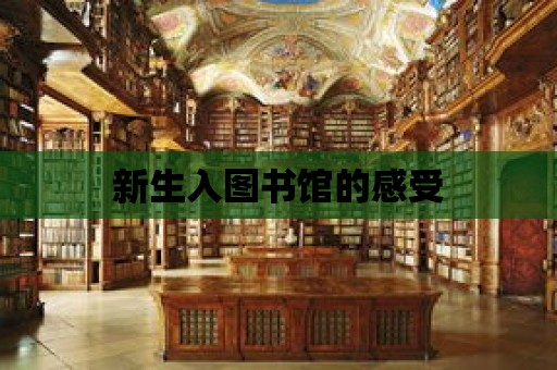 新生入圖書館的感受