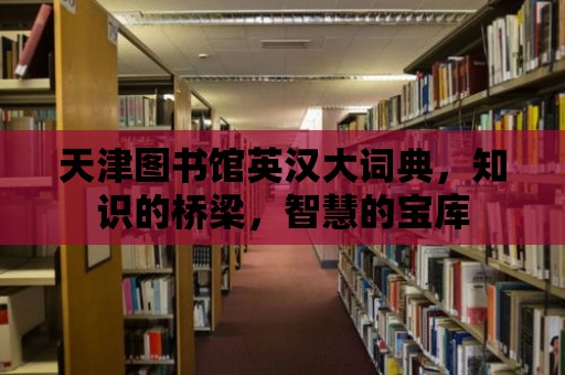 天津圖書館英漢大詞典，知識的橋梁，智慧的寶庫