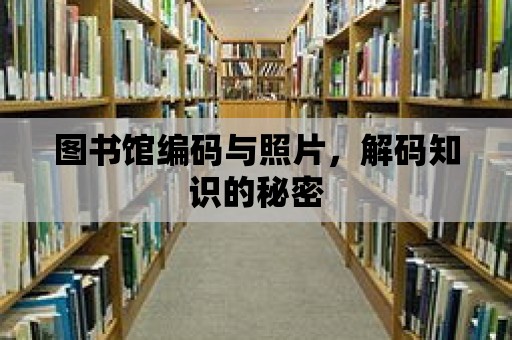 圖書館編碼與照片，解碼知識的秘密