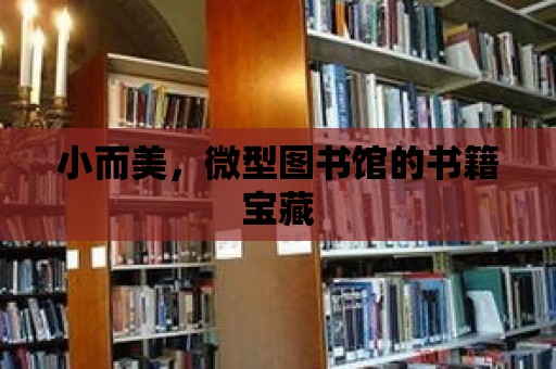 小而美，微型圖書館的書籍寶藏