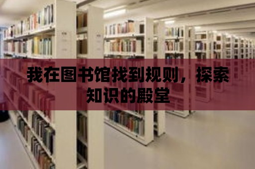 我在圖書館找到規則，探索知識的殿堂