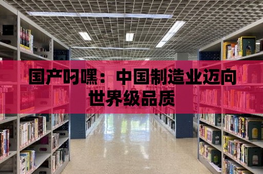 國產叼嘿：中國制造業邁向世界級品質