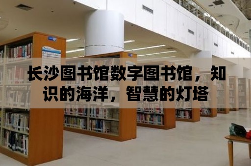 長沙圖書館數字圖書館，知識的海洋，智慧的燈塔