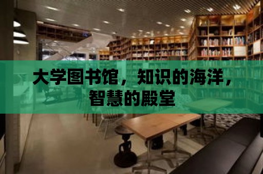 大學圖書館，知識的海洋，智慧的殿堂