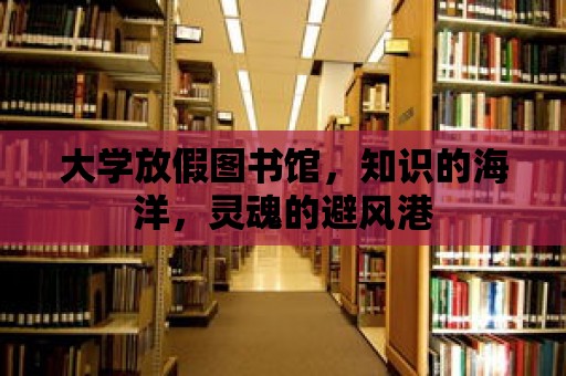 大學放假圖書館，知識的海洋，靈魂的避風港