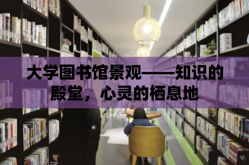 大學圖書館景觀——知識的殿堂，心靈的棲息地