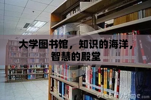 大學圖書館，知識的海洋，智慧的殿堂