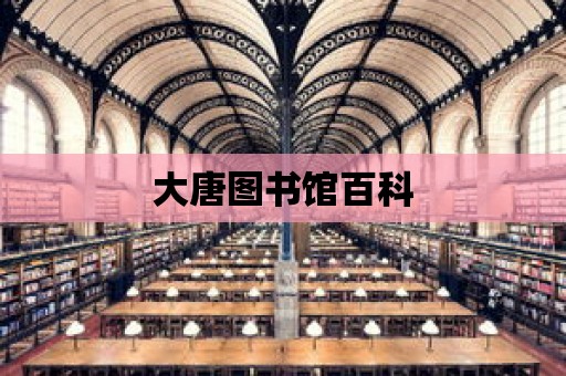 大唐圖書館百科