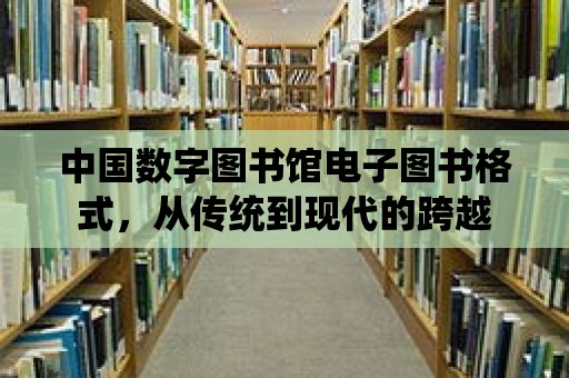 中國數字圖書館電子圖書格式，從傳統到現代的跨越