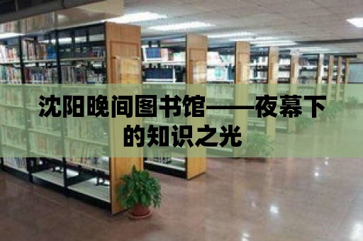 沈陽晚間圖書館——夜幕下的知識之光