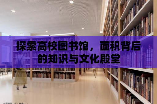 探索高校圖書館，面積背后的知識與文化殿堂