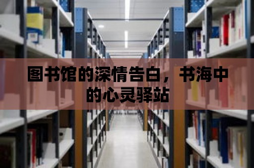 圖書館的深情告白，書海中的心靈驛站