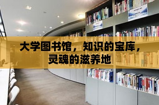 大學圖書館，知識的寶庫，靈魂的滋養地