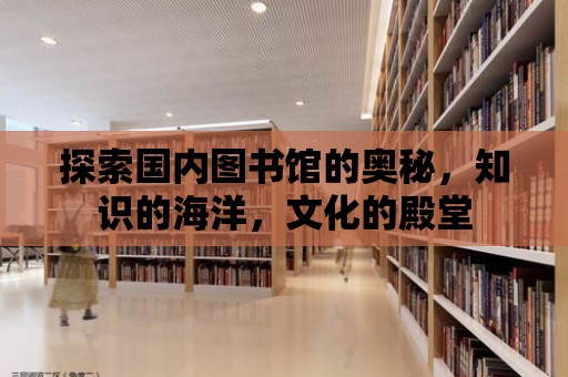 探索國內圖書館的奧秘，知識的海洋，文化的殿堂