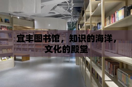 宜豐圖書館，知識的海洋，文化的殿堂