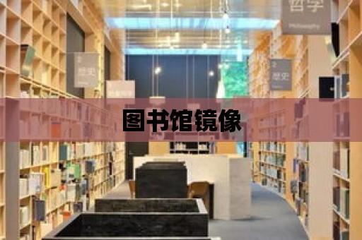 圖書館鏡像