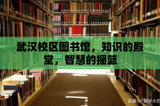 武漢校區圖書館，知識的殿堂，智慧的搖籃