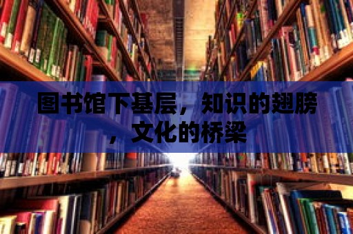 圖書館下基層，知識的翅膀，文化的橋梁