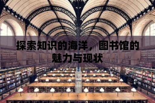 探索知識的海洋，圖書館的魅力與現狀