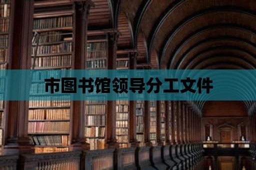 市圖書(shū)館領(lǐng)導(dǎo)分工文件