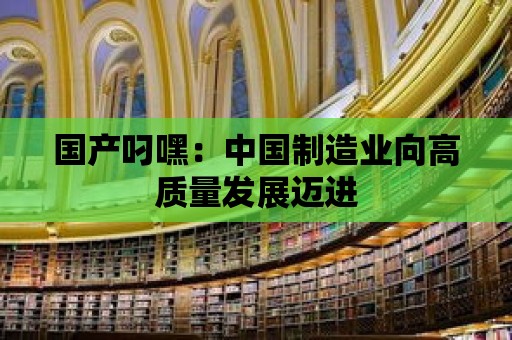 國(guó)產(chǎn)叼嘿：中國(guó)制造業(yè)向高質(zhì)量發(fā)展邁進(jìn)