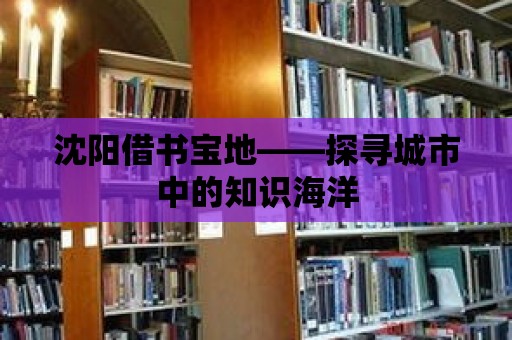 沈陽(yáng)借書(shū)寶地——探尋城市中的知識(shí)海洋