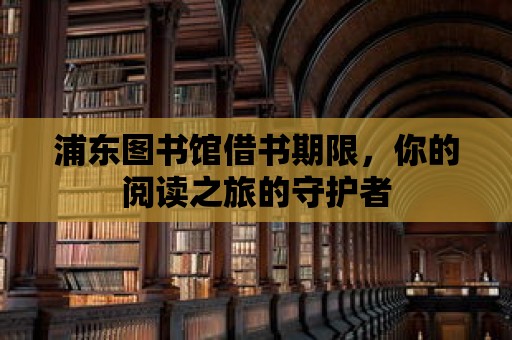 浦東圖書館借書期限，你的閱讀之旅的守護者