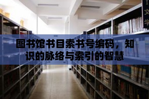 圖書館書目索書號編碼，知識的脈絡與索引的智慧