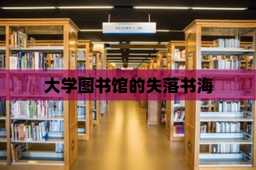 大學圖書館的失落書海